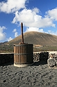 Kanary_2010 376